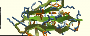 Science and games: an ideal match A screenshot from FoldIt
